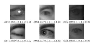 MRL Eye Dataset